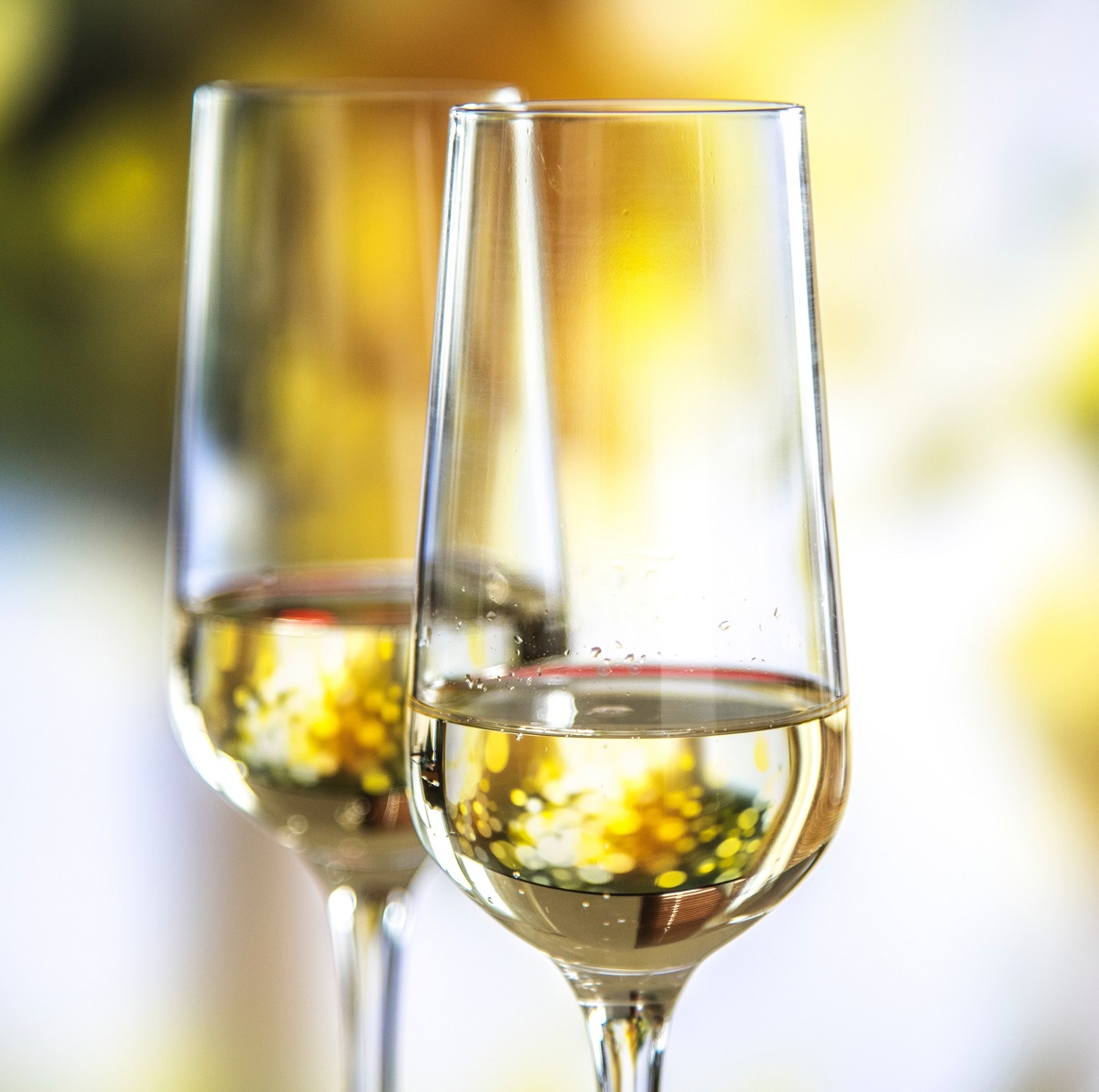 champagne